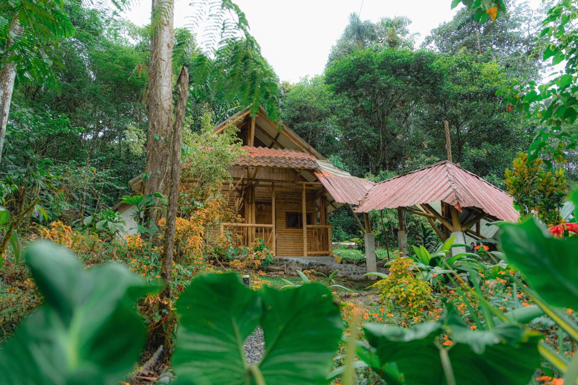 Finca Las Palmas Ecolodge Puyo Exterior photo