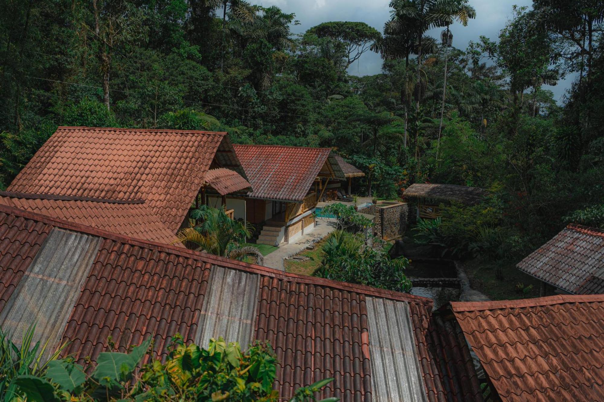 Finca Las Palmas Ecolodge Puyo Exterior photo