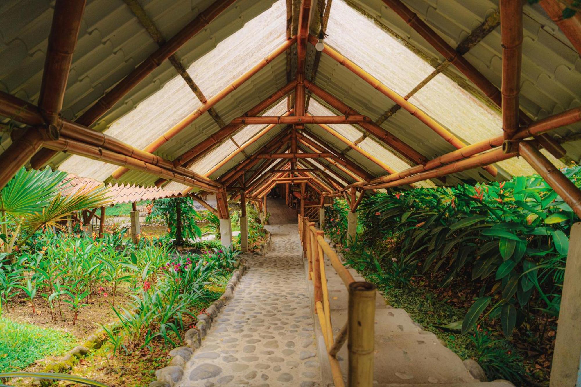 Finca Las Palmas Ecolodge Puyo Exterior photo